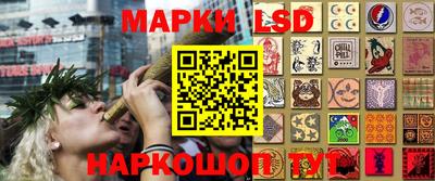 шишки Новокубанск