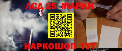 шишки Новокубанск