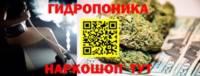 шишки Новокубанск