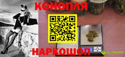 шишки Новокубанск
