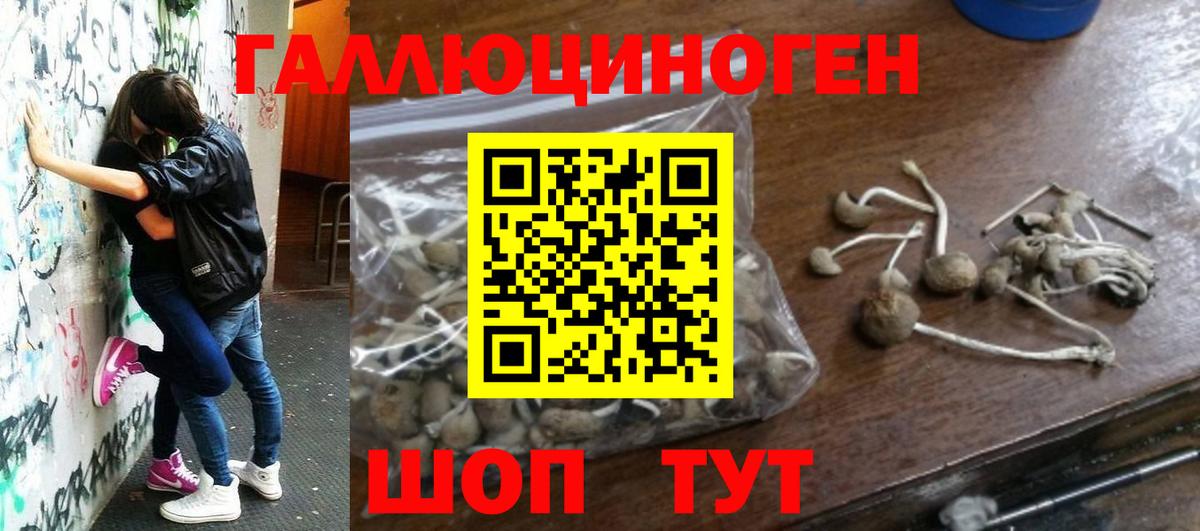 Тобольск  купить закладку  Галлюциногенные грибы мицелий  Вход с VPN  Галлюциногенные грибы мицелий 